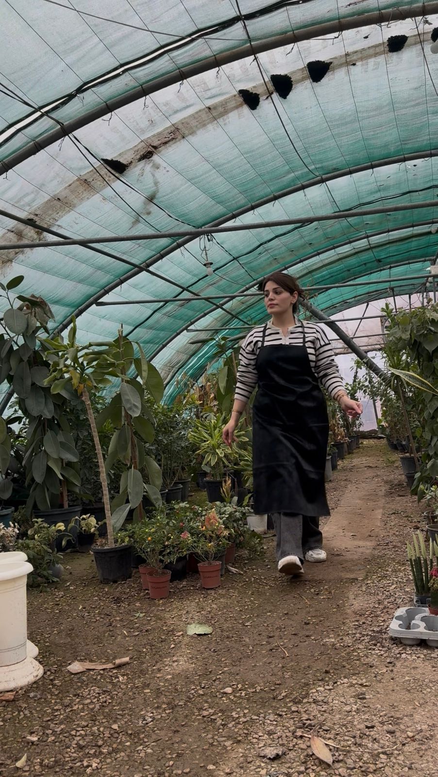 Bakhihanar Gallery Image